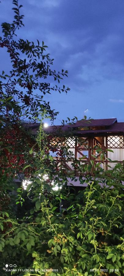 Guest House Albatros Cholpon-Ata Bagian luar foto