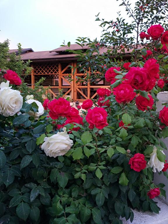 Guest House Albatros Cholpon-Ata Bagian luar foto